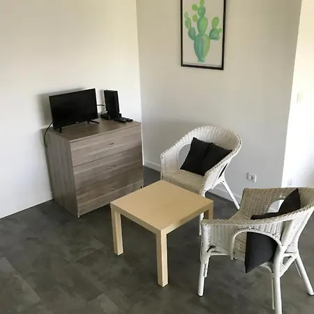 Apartamento De Standing - Emeraude - Euralille